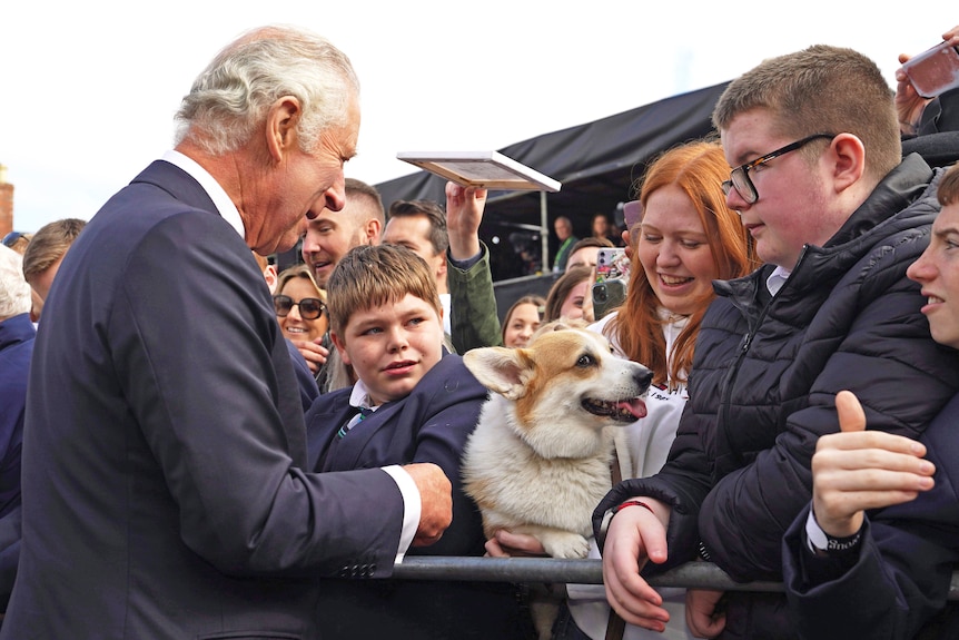 king charles satops to pet a corgi held by a young girl standing at the barricade 