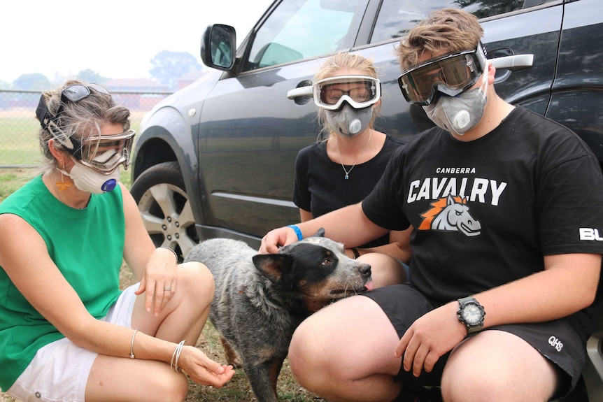 The three look at the camera, wearing smoke masks and patting their dog, crouched beside a car.
