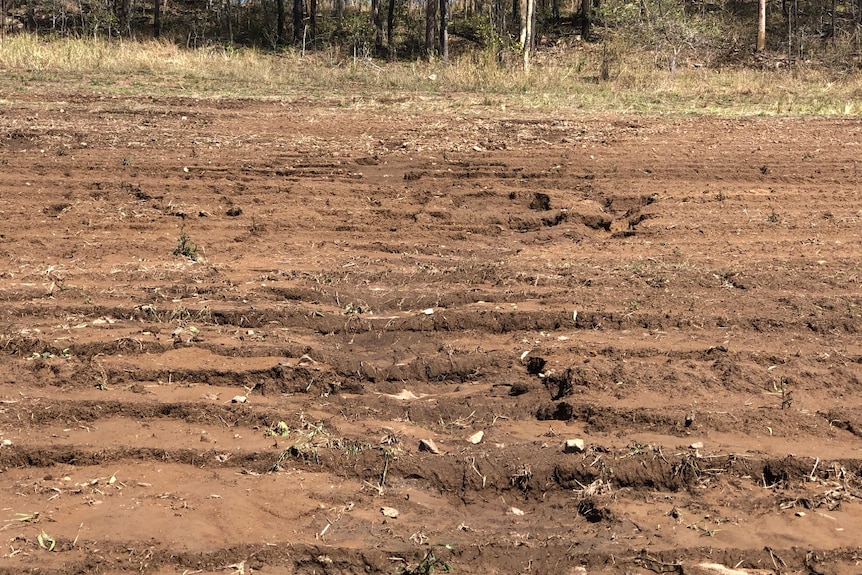 Gutters gouged into a bare field.