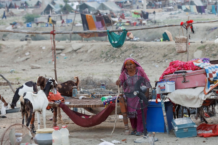 A displaced woman sits among her family's belongings with goats nearby in a dusty expanse of open land.