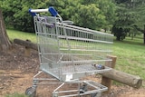 Canberra retailers will face fines for failing to collect dumped trolleys.