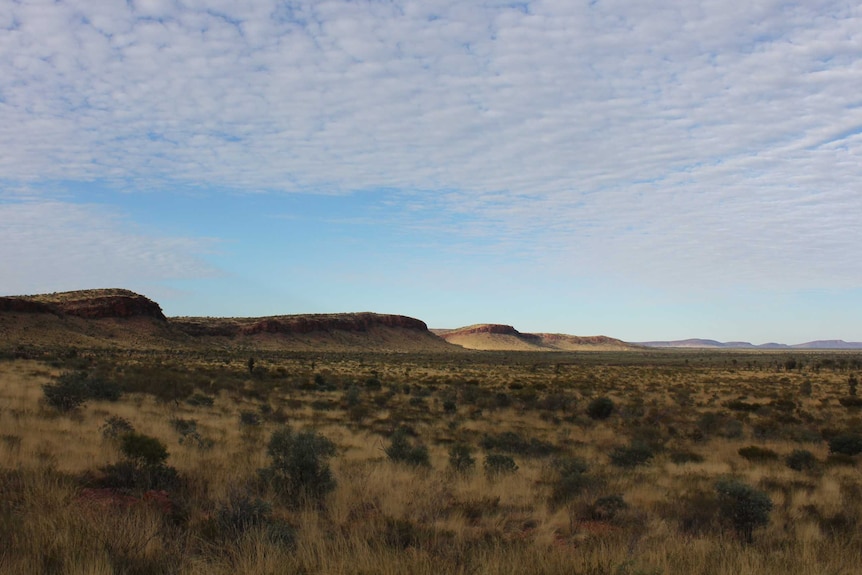 Range and open plain of Newhaven Wildlife Sanctuary north west of Alice Springs.