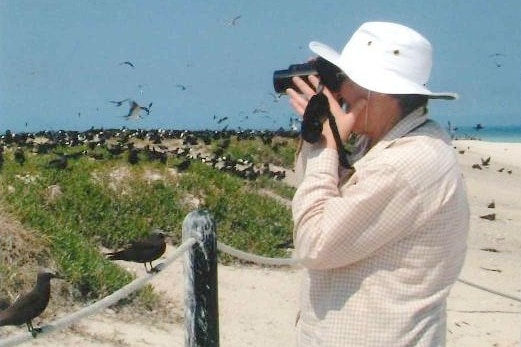 An older lady looks at birds on a beach with binoculars