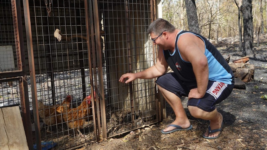 A photo of a man leaning down to look at his pet chickens in a metal cage.