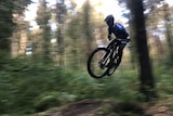 A mountain bike rider in the air.