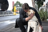 Disability access advocate David Foran kneels with his guide dog, Oliver, at a tram stop in Southbank