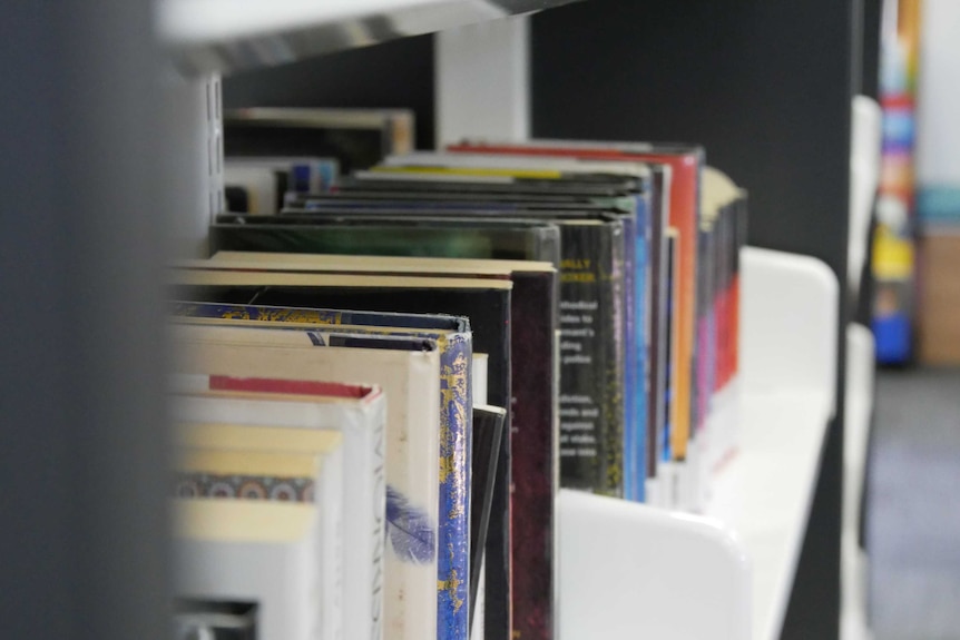 A collection of books sitting on a library shelf. The shelves are light grey, with dark grey sides.