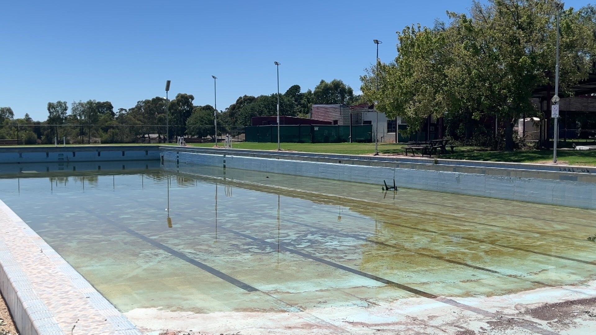 a dilapidated pool with brown water sits in disrepair