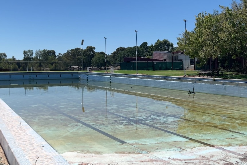 a dilapidated pool with brown water sits in disrepair