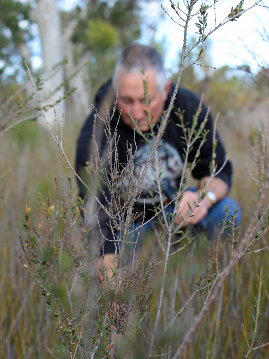 Terry Dunham inspects the local flora