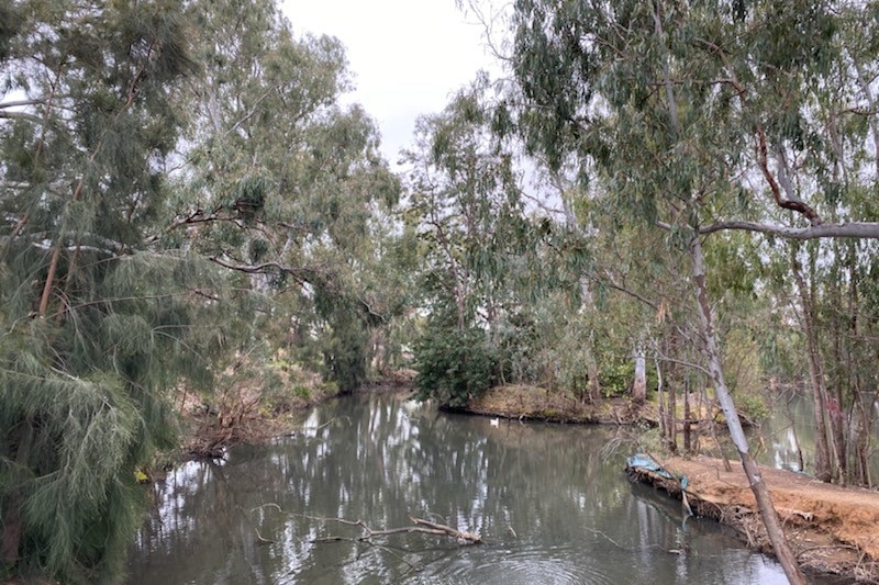 Body of water lined with orange-coloured dirt banks and overhung with gum trees