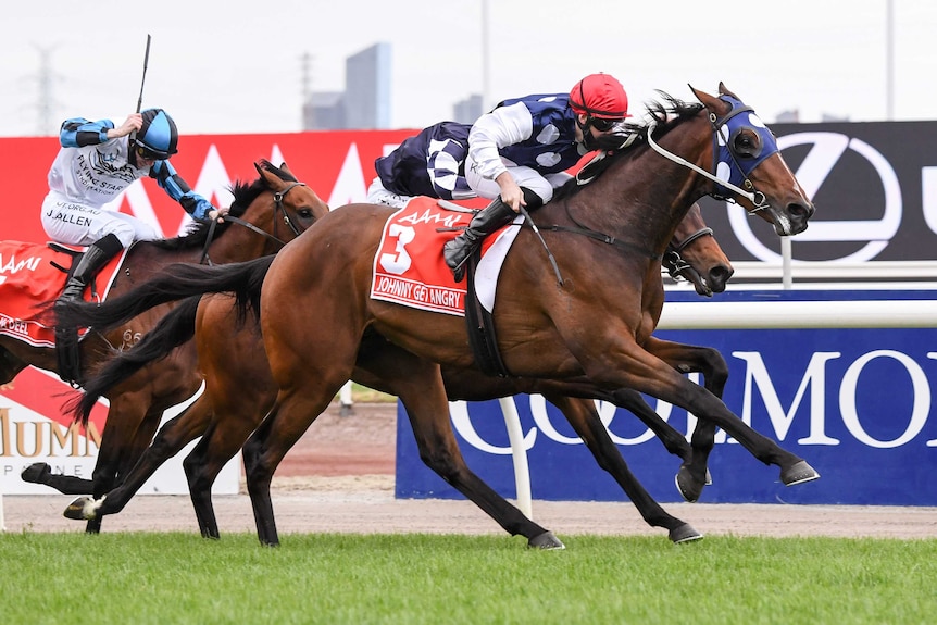 A jockey rides his horse to victory down the straight in the Victoria Derby.