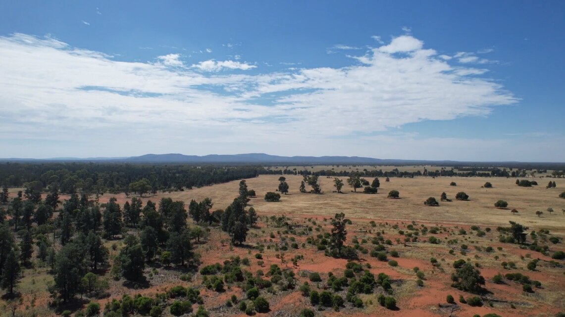 Drone photo of a farm showing a thick tree line(left),red soils with scrub in the foreground and improved pasture(back).