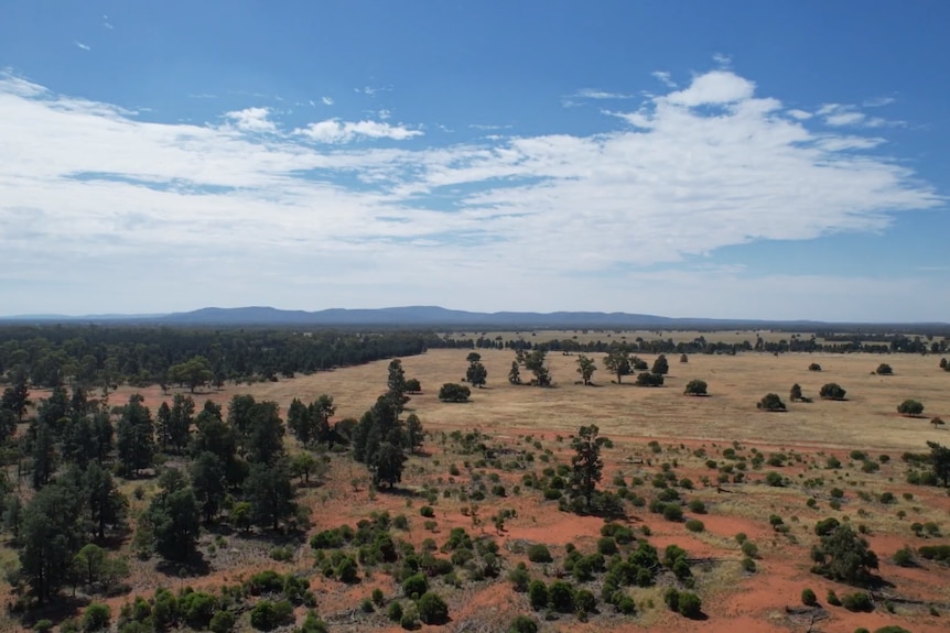 Drone photo of a farm showing a thick tree line(left),red soils with scrub in the foreground and improved pasture(back).