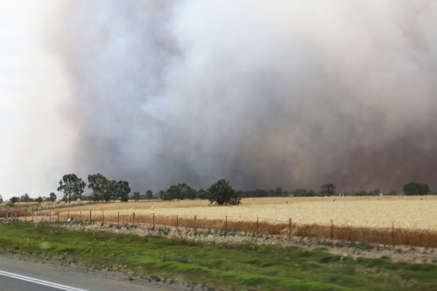Dark smoke rises from a bushfire