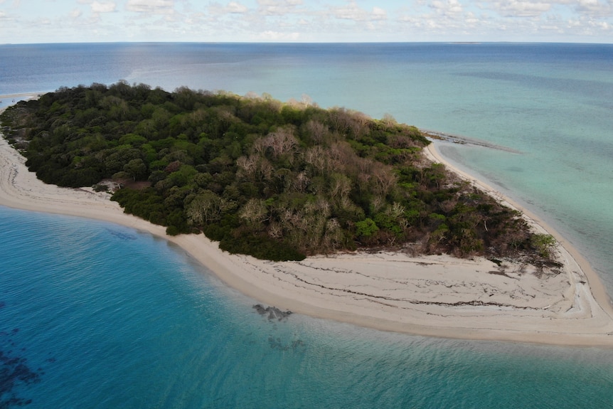 An arial picture of Layoak island.