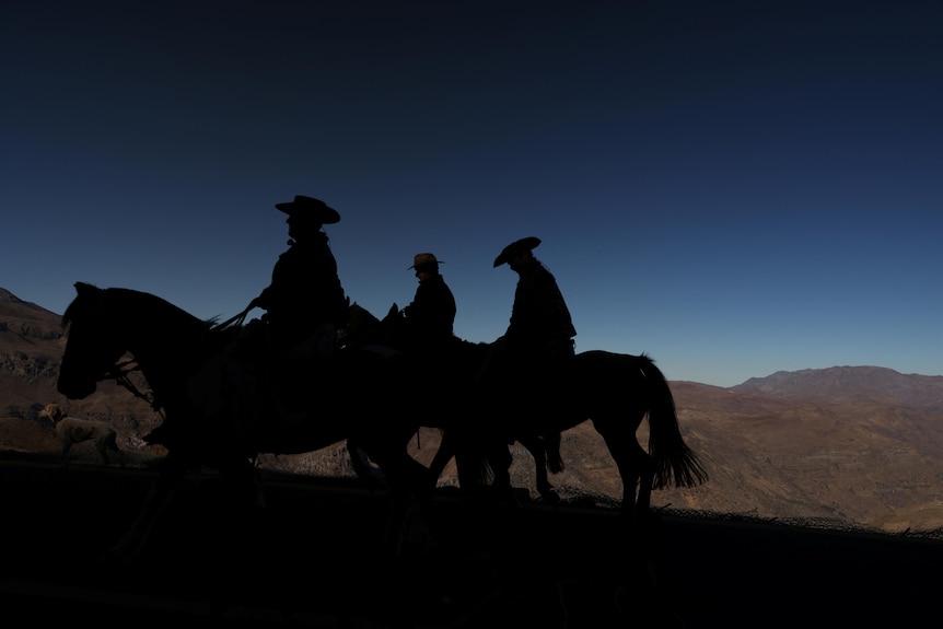 Three cowboys ride horses up a mountain range