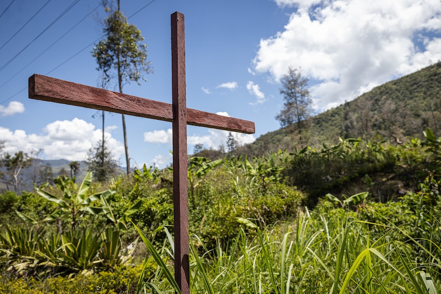A wooden cross sticks up out of green grass, against a blue sky