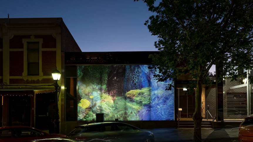 An art piece featuring images of greenery lit up on the side of a building at night.