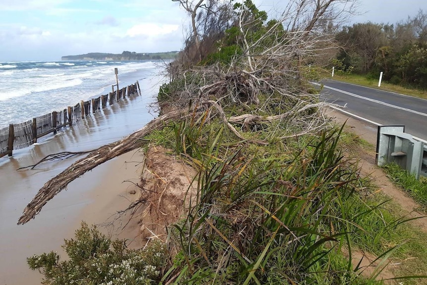 Bunerong road and the beach at Inverloch