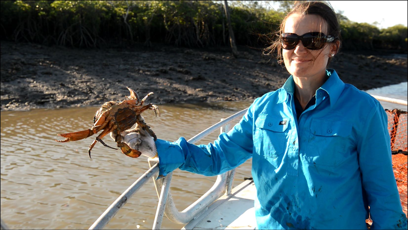 Woman in long sleeved blue shirt and sunglasses standing on boat, holding a live crab wearing gloves 