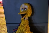 Big Bird near bin