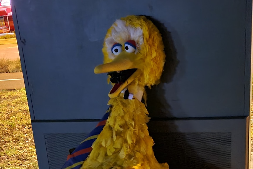 Big Bird near bin