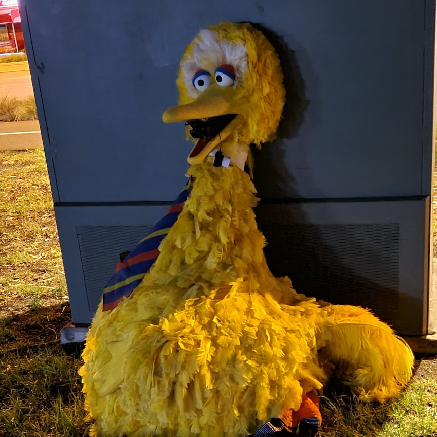 Big Bird near bin