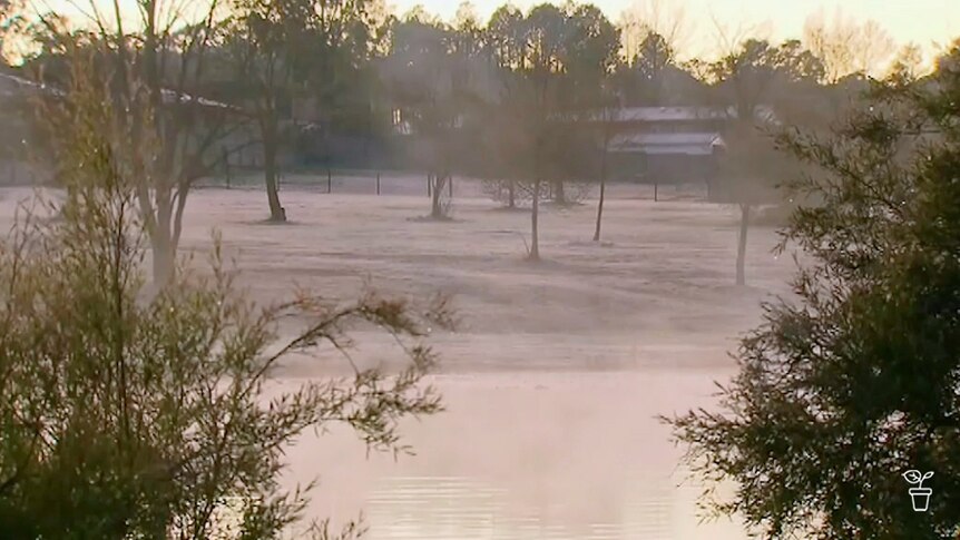 A park with a lake covered in frost.