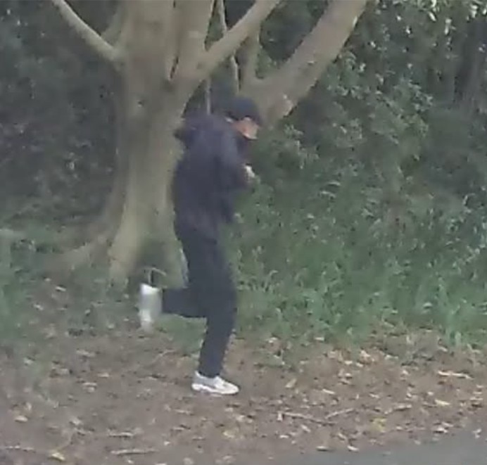 Hunt continues for man with shotgun who sparked lockdown in Sydney's inner west