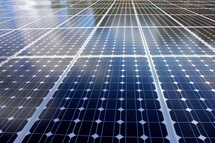 A close-up shot of solar panels.