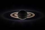 Saturn is shown with its rings backlit by the Sun behind it