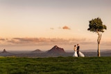 Mountains in background with bride and groom standing in front of single tree at sunset
