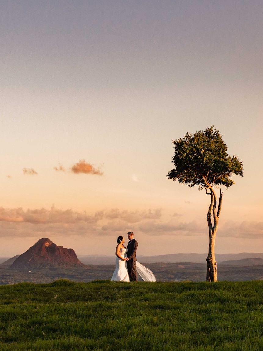 Mountains in background with bride and groom standing in front of single tree at sunset