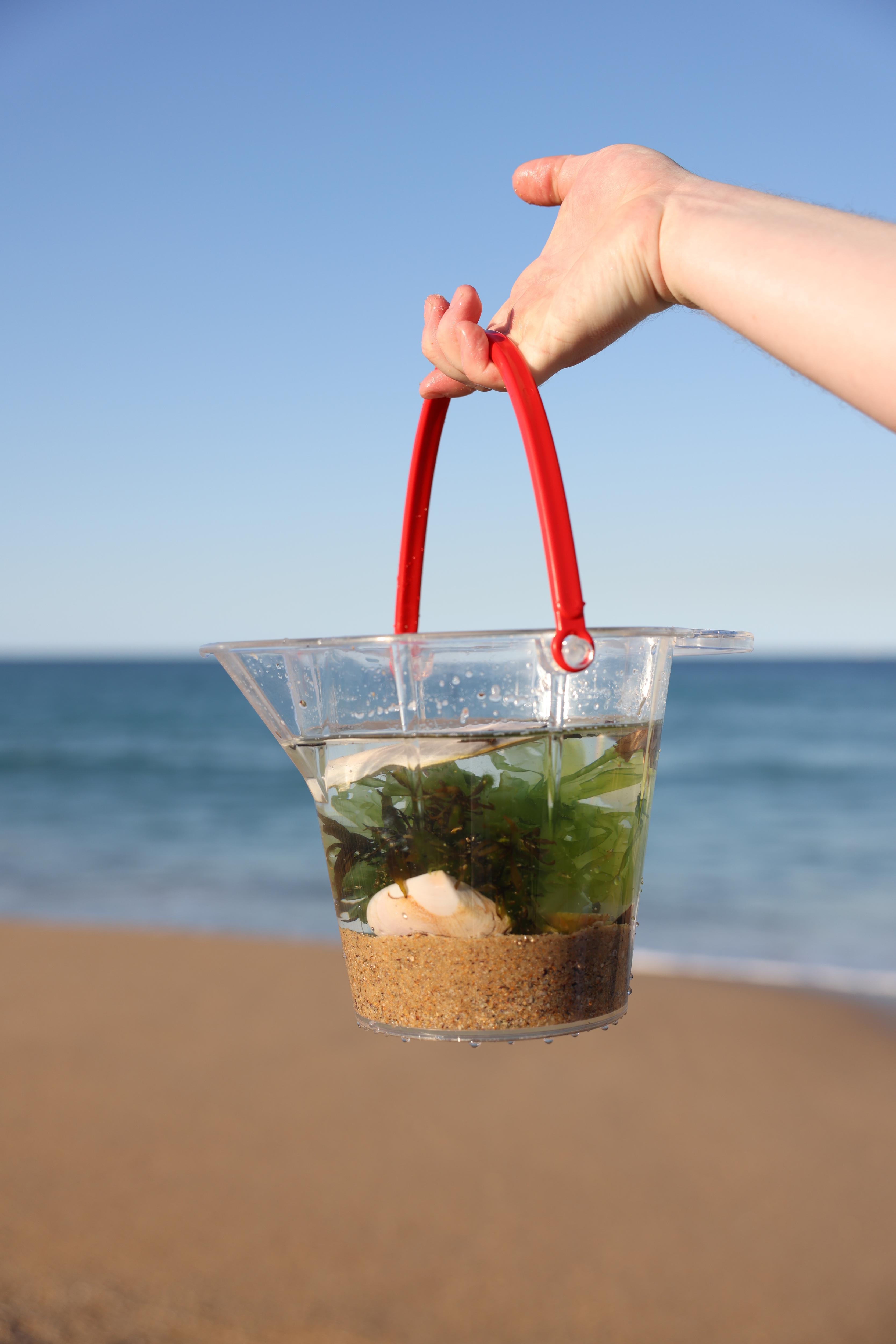 Ocean Garden - GAJ - IMAGE 2