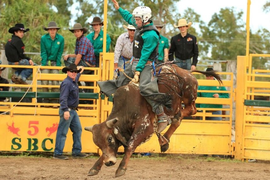 St Brendan's College Rodeo Club student riding a bull