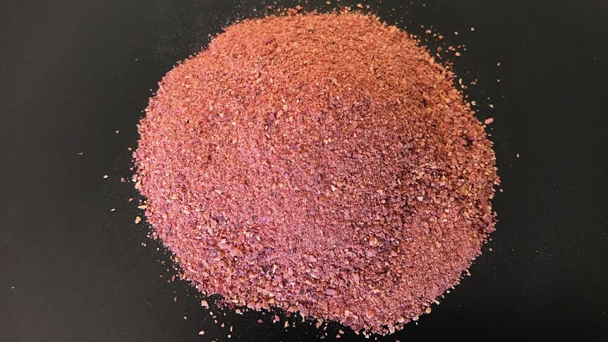 Freeze-dried quandong powder on a plate
