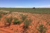 A hay farm in the red centre