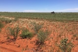 A hay farm in the red centre