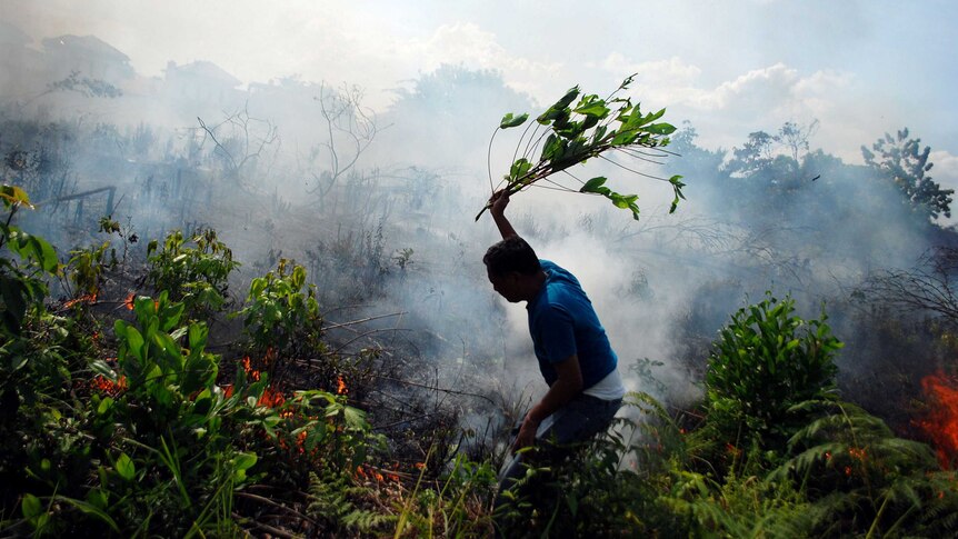 A resident tries to put out a bush fire on Sumatra island, Indonesia