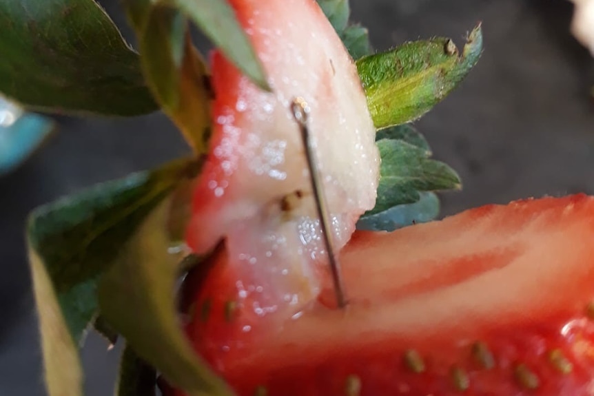 A needle sticking out of a strawberry from a Strawberry Obsession punnet purchased by Angela Stevenson.