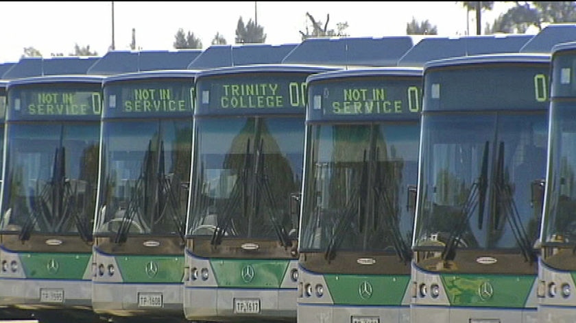 Transperth buses