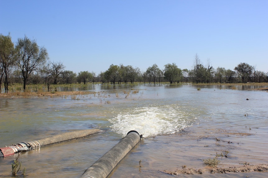 A large pipe sits in a shallow lake, pumping water into it. 