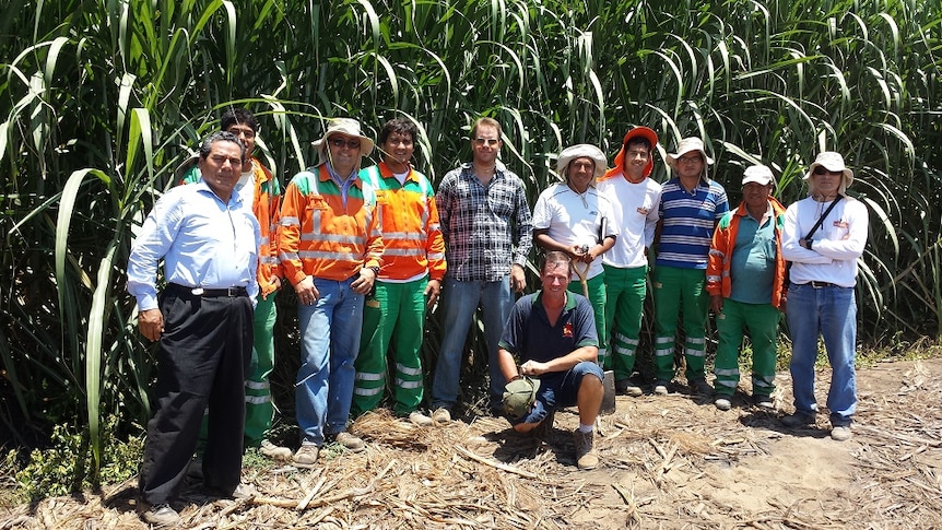 Simon Mattson on a cane farm in Peru.