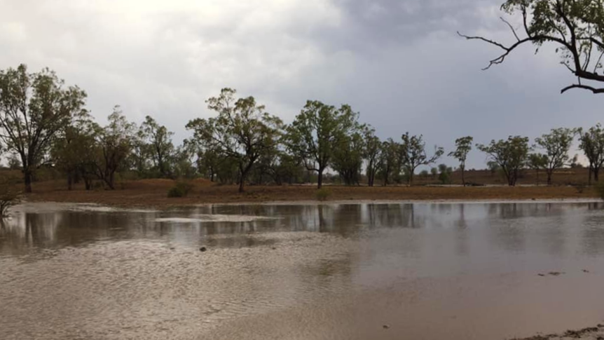 The dam near Karen Mayes' property near Wandoan finally has water in it.
