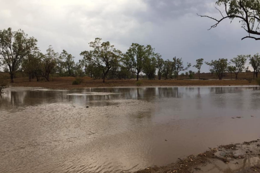 The dam near Karen Mayes' property near Wandoan finally has water in it.