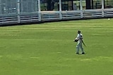 David Warner leaves the field after sledge