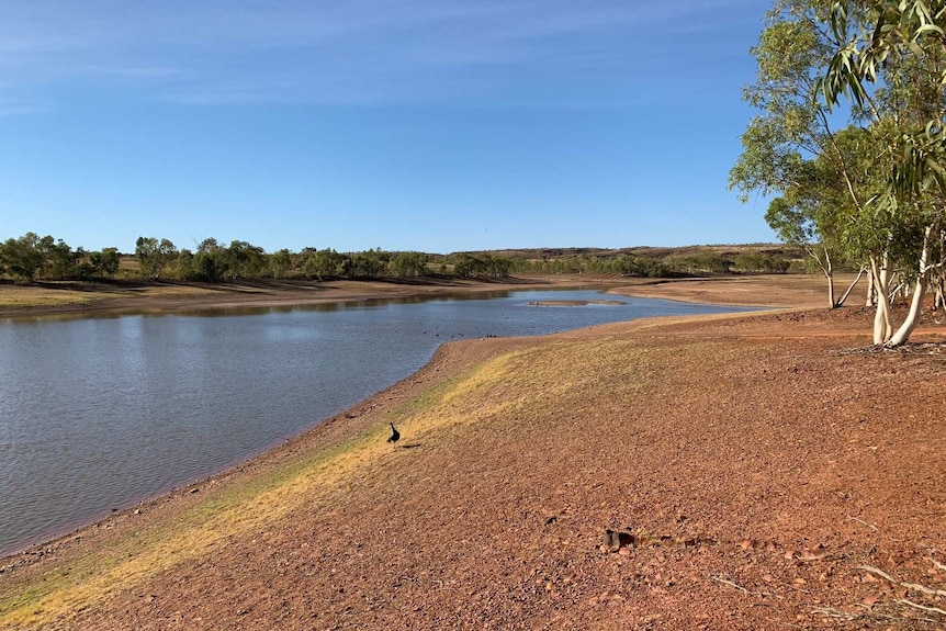 A dam with very little water in it