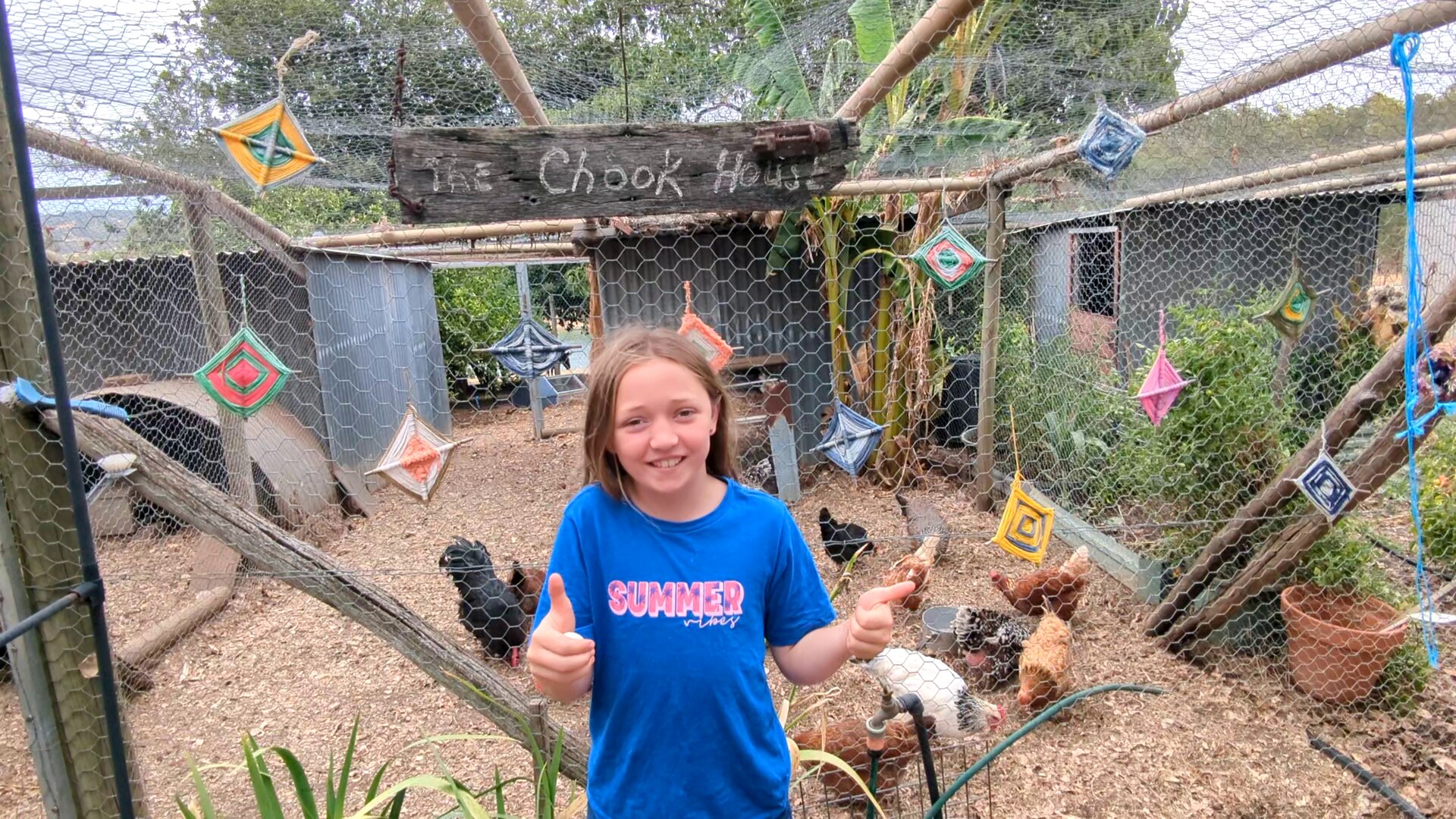 Chook House
