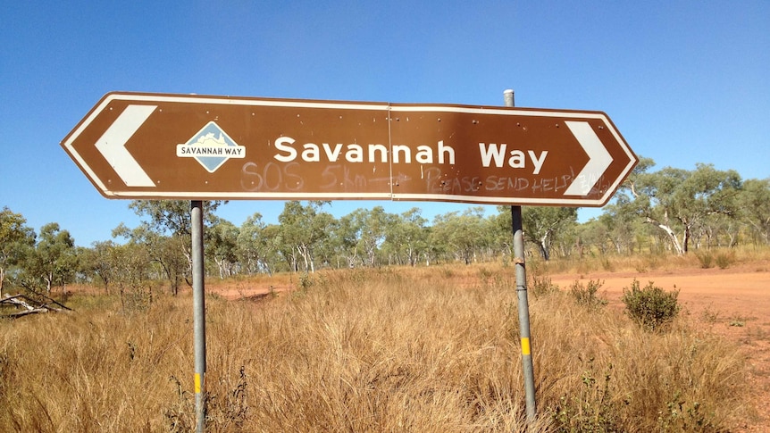 The Savannah Way